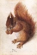 HOFFMANN, Hans Squirrel wf oil painting on canvas